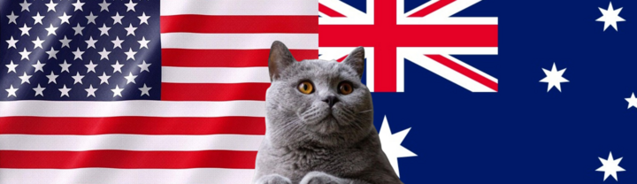 Nhận định soi kèo trận nữ Australia-Mỹ Olympic Paris, 0h ngày 1/8: Mèo tiên tri hủy diệt Australia