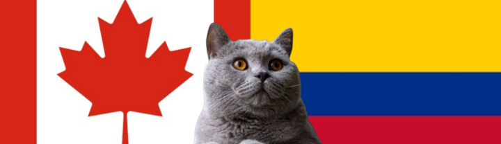 Nhận định soi kèo trận nữ Colombia-Canada Olympic Paris, 2h ngày 1/8: Mèo tiên tri lưỡng lự