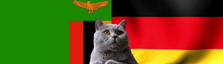 Nhận định soi kèo trận nữ Đức-Zambia Olympic Paris, 0h ngày 1/8: Mèo tiên tri ưu ái 