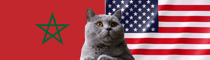 Nhận định soi kèo trận U23 Morocco-U23 Mỹ Olympic Paris, 20h ngày 2/8: Mèo tiên tri lưỡng lự