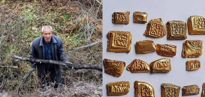 Lão nông lên núi đốn củi, vô tình phát hiện hang động cất giấu “kho báu”