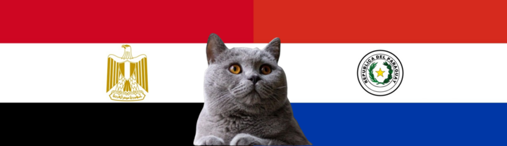 Nhận định soi kèo trận U23 Ai Cập-U23 Paraguay Olympic Paris, 0h ngày 3/8: Mèo tiên tri như “thần”