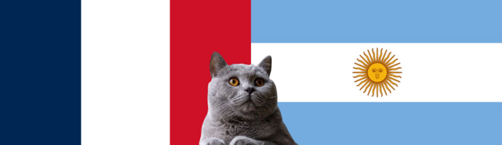 Nhận định soi kèo trận U23 Pháp-U23 Argentina Olympic Paris, 2h ngày 3/8: Mèo tiên tri khó xử