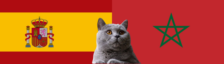 Nhận định soi kèo trận U23 Tây Ban Nha-U23 Morocco Olympic Paris, 23h ngày 5/8: Mèo tiên tri gặp khó