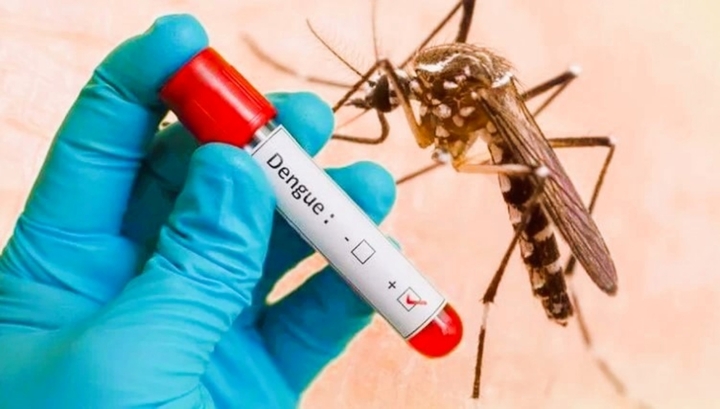 Nữ giáo viên tiểu học qua đời vì căn bệnh liên quan đến muỗi