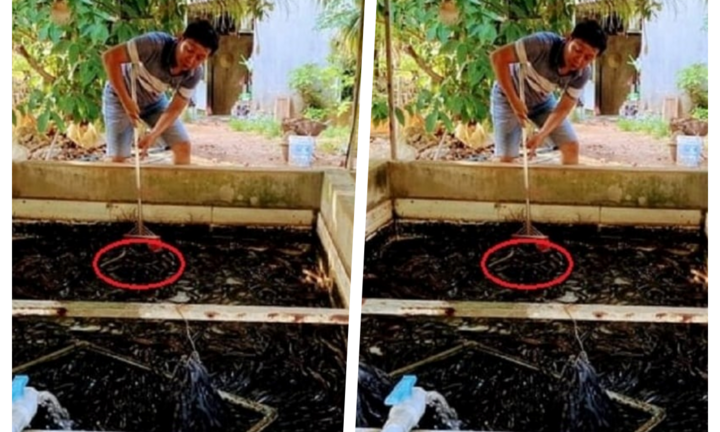 Anh nông dân thu lãi cả trăm triệu nhờ nuôi loài biết 