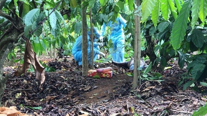 Bi kịch tình-tiền (Kỳ 15): Cô gái 21 tuổi bị người tình sát hại, giấu xác trong rẫy cà phê