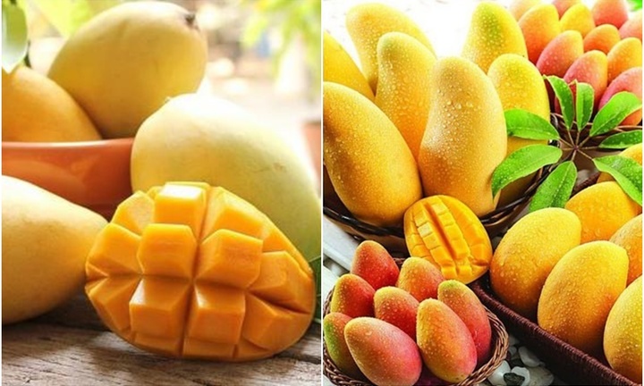 Đi chợ, chọn xoài dài hay xoài tròn