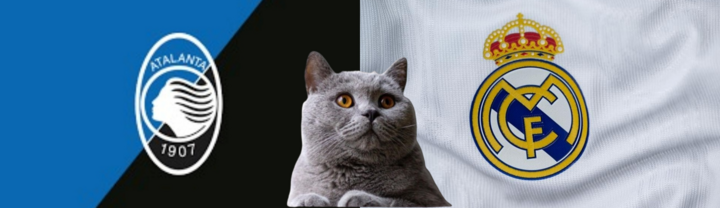 Nhận định soi kèo trận Real Madrid vs Atalanta 2h ngày 15/8: Mèo tiên tri hoàn thành nhiệm vụ