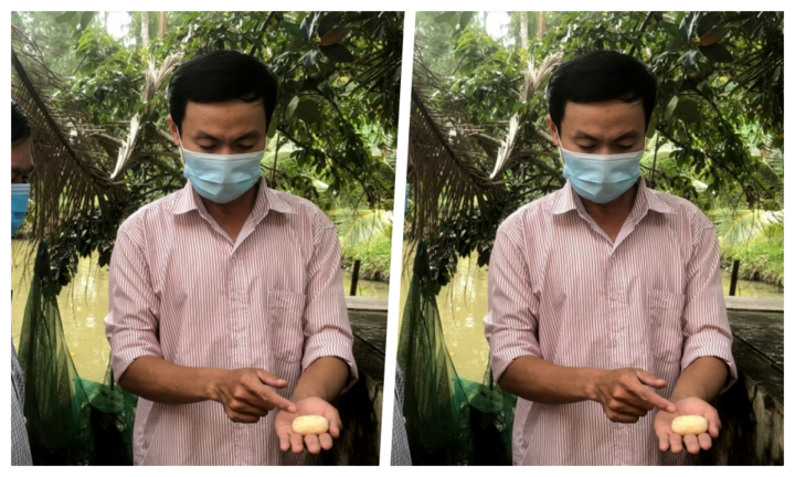 Anh nông dân lãi trăm triệu nhờ nuôi loài cực độc nhưng là 