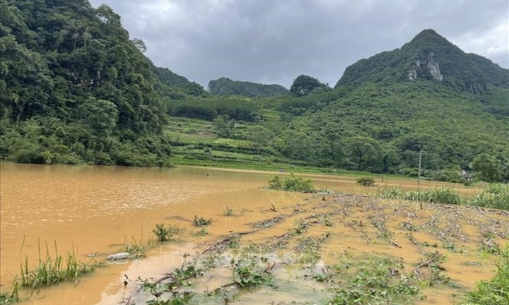 Tin tức thời sự mới ngày 14/8: Cảnh báo các điểm nguy cơ sạt lở đất ở 12 tỉnh