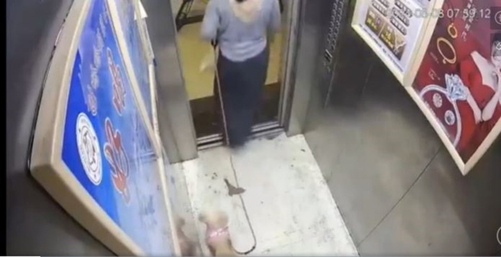 Video: Bị kẹt trong thang máy, chú chó may mắn thoát chết