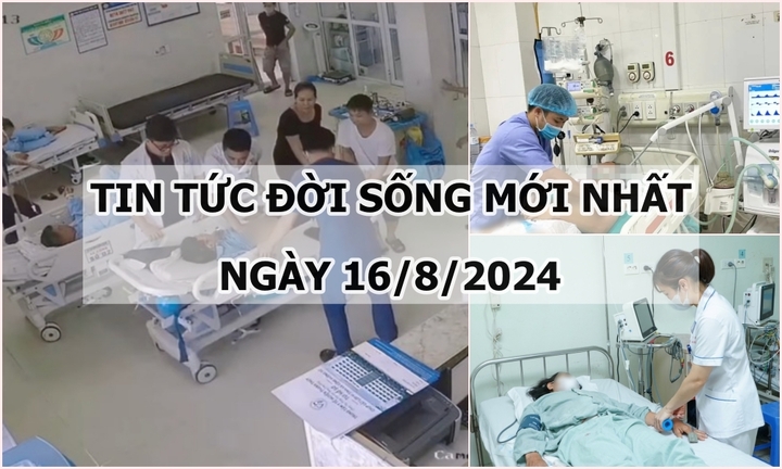 Tin tức đời sống ngày 16/8/2024: Loại hạt khiến người phụ nữ bị thủng ruột non