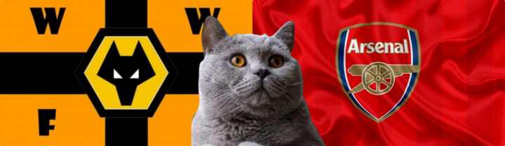 Nhận định soi kèo trận Arsenal-Wolves, Ngoại hạng Anh 2024/25 21h ngày 17/8: Mèo tiên tri quyết tâm