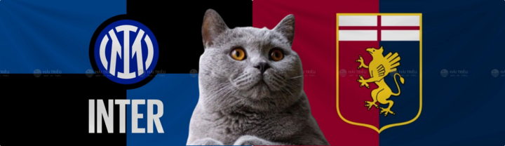 Nhận định soi kèo trận Genoa-Inter Milan, Serie A 2024/25 23h30 ngày 17/8: Mèo tiên tri phá “dớp”