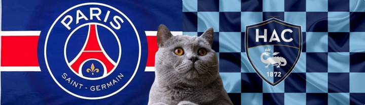 Nhận định soi kèo trận Le Havre-PSG, Ligue 1 2024/25 1h45 ngày 17/8: Mèo tiên tri chọn điều tất yếu