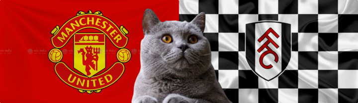 Nhận định soi kèo trận MU-Fulham, Ngoại hạng Anh 2024/25 2h ngày 17/8: Mèo tiên tri thiên vị