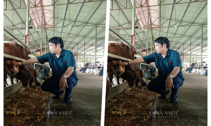 Anh nông dân mỗi năm thu 65 tỷ nhờ nuôi loài phàm ăn, có 