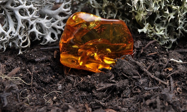 Đang đào giếng, anh nông dân tìm thấy kho báu khủng