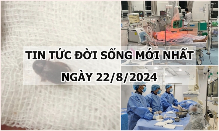 Tin tức đời sống 22/8/2024: Lý do bé gái bỗng ôm tai phải khóc thét khi đang ngủ