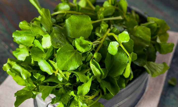 Loại rau được ví siêu bẩn nhưng là “thần dược” rất tốt cho tim mạch