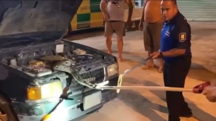 Video: Rùng mình phát hiện trăn khổng lồ dài gần 5m ẩn nấp trong ô tô