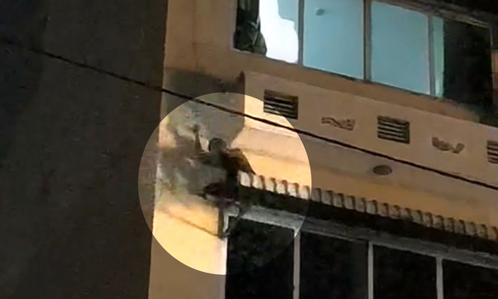 Thanh niên có biểu hiện bất thường, đu dây ở tầng 3 khách sạn như 