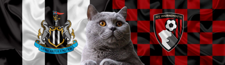 Nhận định soi kèo trận Bournemouth-Newcastle, Ngoại hạng Anh 20h ngày 25/8: Mèo tiên tri chia điểm