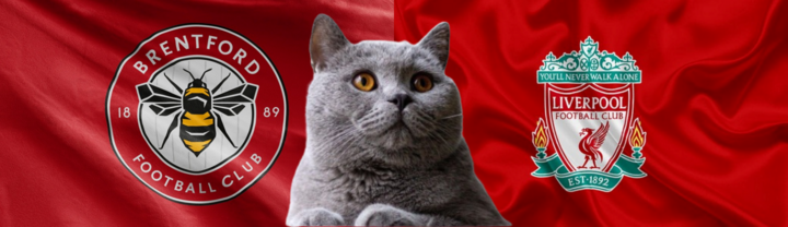Nhận định soi kèo trận Liverpool-Brentford, Ngoại hạng Anh 22h30 ngày 25/8: Mèo tiên tri quyết đoán