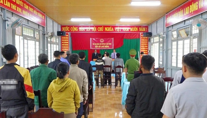 Huỷ hoại rừng tự nhiên, 3 đối tượng lãnh án tù