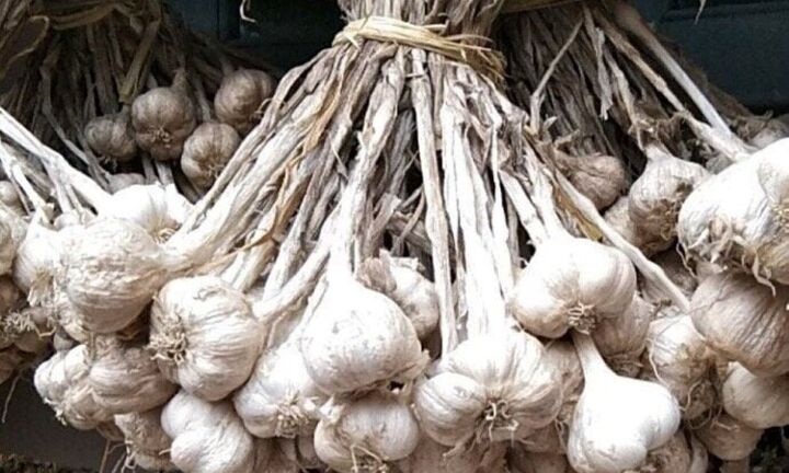 Loại củ nằm lăn lóc trong góc bếp nhưng lại là “thần dược” siêu tốt cho gan