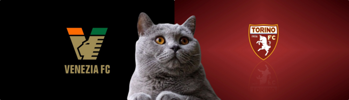 Nhận định soi kèo Venezia vs Torino, Serie A 23h30 ngày 30/8: Mèo tiên tri “phản bội” niềm tin?