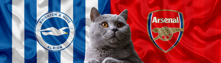 Nhận định soi kèo trận Arsenal vs Brighton, Ngoại hạng Anh 18h30 ngày 31/8: Mèo tiên tri quyết đoán