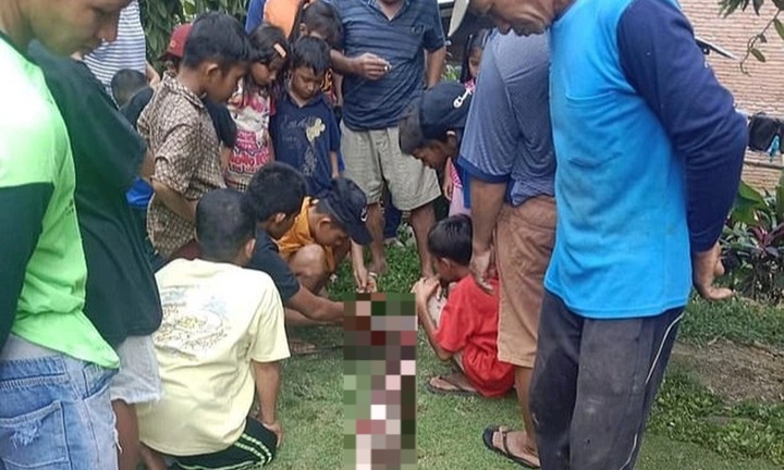 Chuyện ở Palopo: Cụ bà 74 tuổi mất tích bí ẩn, sự thật kinh hoàng sau 2 ngày tìm kiếm