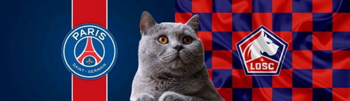 Nhận định soi kèo trận Lille vs PSG, Ligue 1 1h45 ngày 2/9: Mèo tiên tri không thể ngăn cản