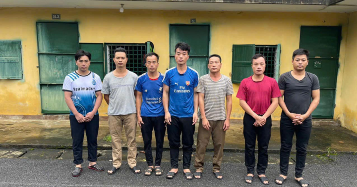 Chặt hạ gỗ quý vùng lõi Vườn quốc gia Xuân Sơn, 7 đối tượng bị khởi tố