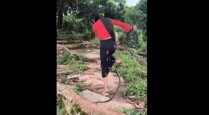 Đang đi bộ trong công viên, người phụ nữ bất ngờ bị rắn 