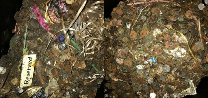 Dọn giếng bỏ hoang, chủ nhân “sốc” khi tìm thấy “kho báu” quý