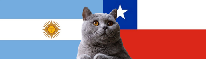 Nhận định soi kèo trận Argentina vs Chile, 7h ngày 6/9: Mèo tiên tri múa điệu Tango