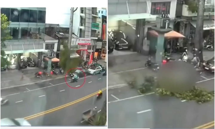 Thương tâm: Mẹ trên đường đón con tan học, bị nhánh cây rơi trúng 