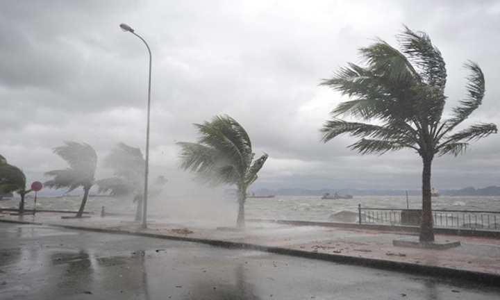 Thiệt hại nặng do bão số 3, Thái Bình đề nghị được hỗ trợ