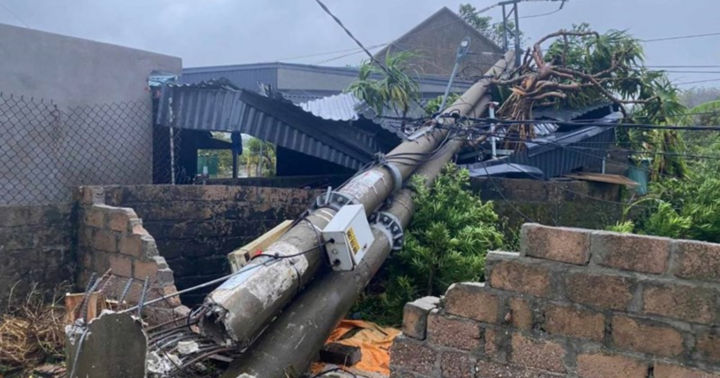 Giám đốc Điện lực TP.Hạ Long bị tạm đình chỉ chức vụ