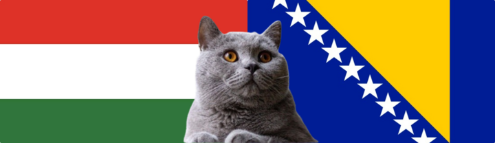 Nhận định soi kèo Hungary vs Bosina, Nations League 1h45 ngày 11/9: Chú mèo chọn đúng?