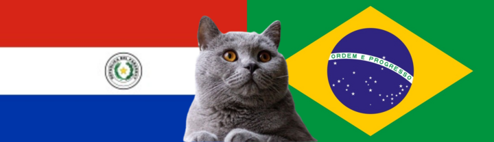 Nhận định soi kèo trận Paraguay vs Brazil, 7h30 ngày 11/9: Mèo tiên tri chạy về phía vũ công samba