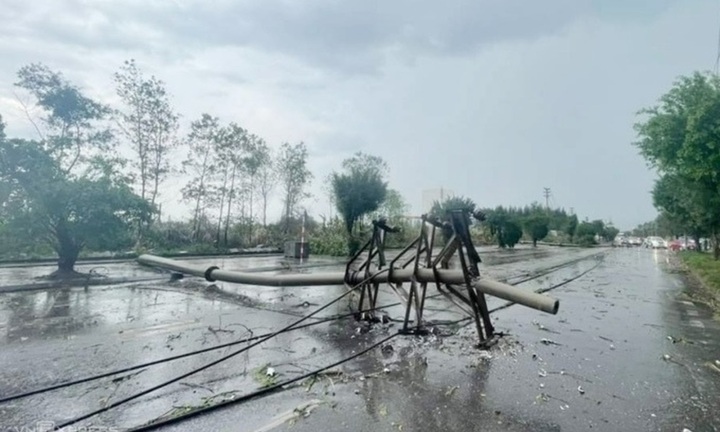 Lý do khiến Giám đốc Điện lực TP.Hạ Long bị tạm đình chỉ chức vụ