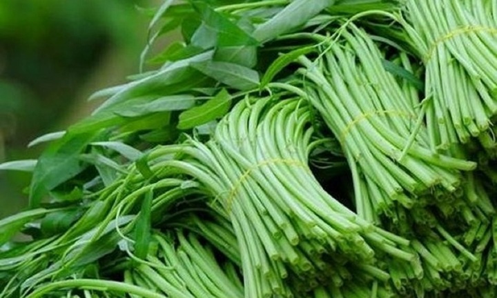 Rau muống đắt 50.000 đồng 1 mớ cũng không ăn nếu thuộc nhóm này!