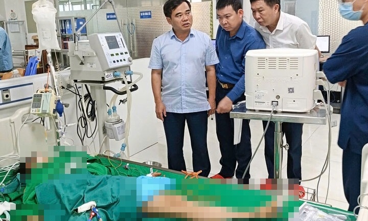 Vụ 7 học sinh thương vong do ong bắp cày đốt: 2 em đang nguy kịch