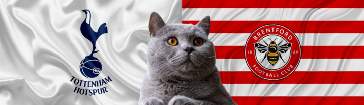 Nhận định soi kèo trận Tottenham vs Brentford, Ngoại hạng Anh 21h ngày 21/9: Mèo tiên tri thiên vị