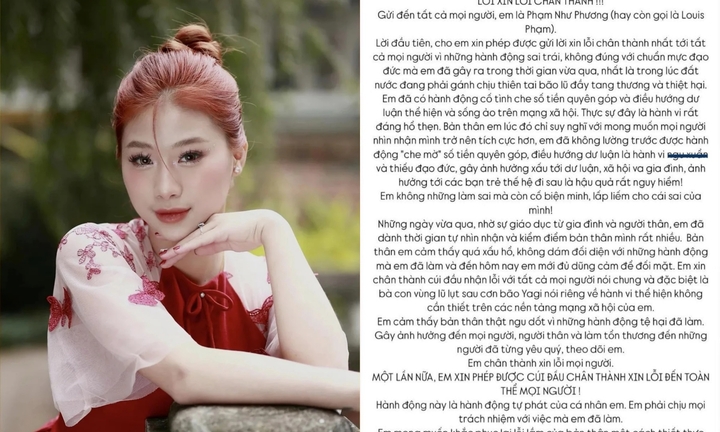 Louis Phạm thừa nhận 