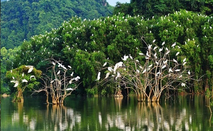 Khám phá những địa điểm du lịch đẹp như mơ ở Long Phú - Sóc Trăng